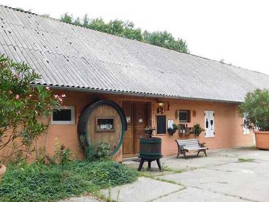 Weingut in Brandenburg