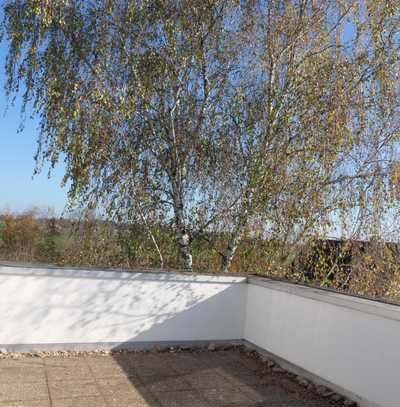 Traumterrasse mit schöner 2-Zimmer-Wohnung in Steinenbronn