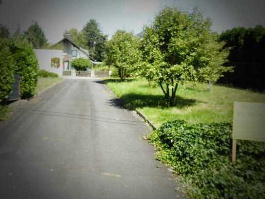 Attrakt. Wohnhaus m. Einliegerwoh. i. e. Naturgegend am Wald, am Rande vom Hardtwald i. Bad Homburg