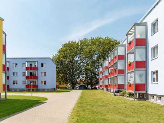 Wohnen auf dem Darß - tolle 4 Zimmer Wohnung!