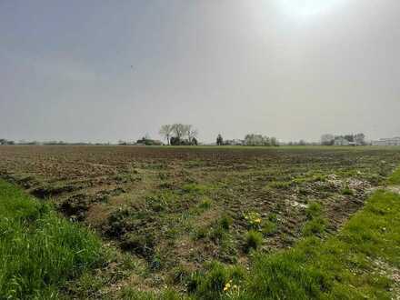 Großzügiges Ackerland oder als Ausgleichsfläche in Neuburg - Marienheim - Ein Objekt von SOWA Imm...