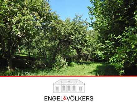Großes Traumgrundstück in bester Blicklage
