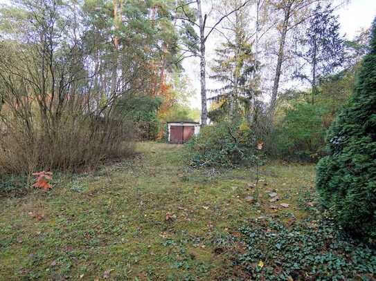 Ein großes Baugrundstück mit abrissreifem Wochenendhaus in der Waldgemeinde Borkheide