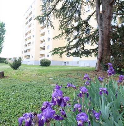 Stilvoll wohnen auf 104 m² – Ihre neue 3-Zimmer-Wohlfühloase mit Balkon in Oftersheim