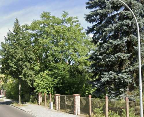 Blütenstadt-Charme: Doppelhaushälfte in Werder (Havel) inkl. Grundstück