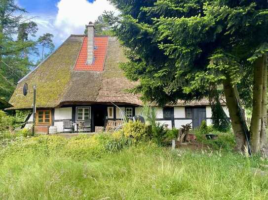 Idyllisches Reetdachhaus im niedersächsischen Elbtalaue