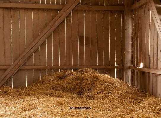 Stall-Ruine