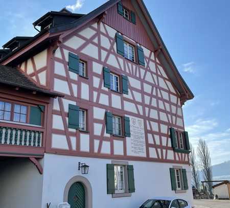 Historisches Mehrfamilienhaus in toller Rheinlage!