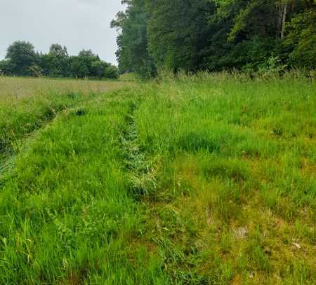 Landwirtschaftliches Grundstück / Ausgleichsfläche