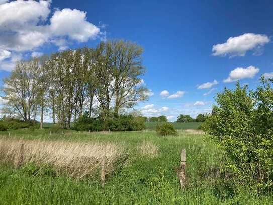 Traumhaft ruhiges Wohnen am Schaalsee