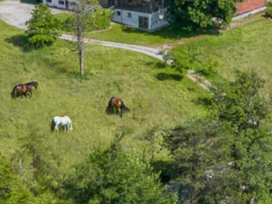 Reitanlage/Reiterhof mit Top Reithalle und div. Nebengebäuden