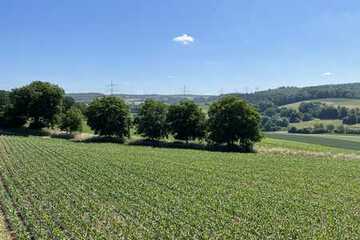 Einzigartige Liegenschaft in Baden Württemberg: Baugrundstück mit landwirtschaftlicher Fläche