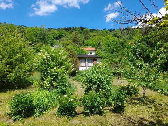 Gartengrundstück im Ziegenhainer Tal