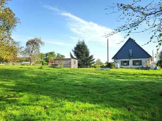 für Tierfreunde EFH Nähe Rostock, großzügiges Grundstück 4100m² in grüner Umgebung