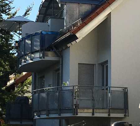 Modernisierte 1-Raum-Wohnung mit Balkon und Einbauküche in Schönaich