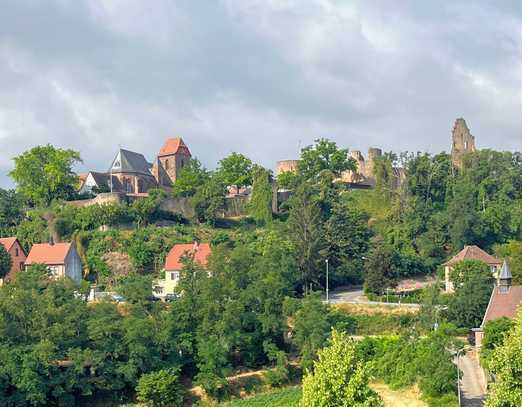 Über den Dächern der Pfalz! Festpreis!