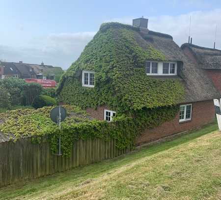 Halbinsel Nordstrand - Romantisches Reetdachhaus direkt am Deich: IHR NEUES FERIENHAUS !