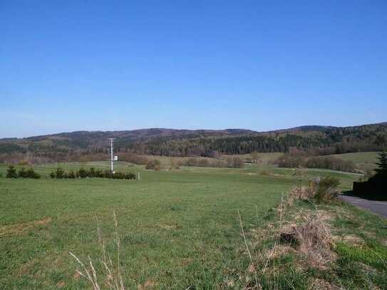 Bauen in Waldrandnähe - Grundstück mit Fernsicht