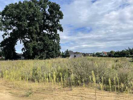 Provisionsfreies Baugrundstücke in Tempelfelde