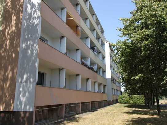 Großzügige barrierearme 2 Raumwohnung mit Blick ins Grüne