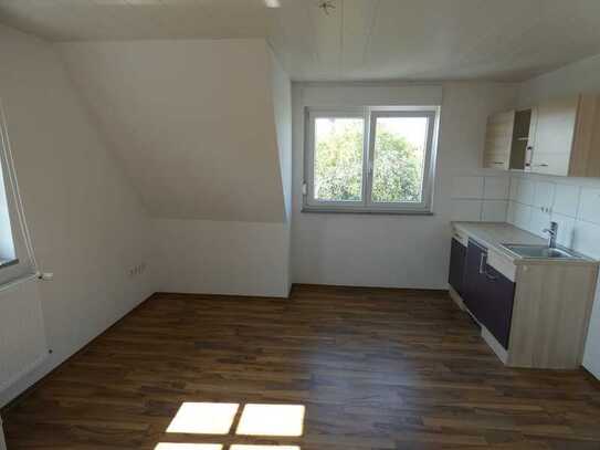 **1-Zimmer-Apartment ( DG links ) für Studenten - ab sofort**