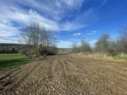 Freies Feld der Land- und Forstwirtschaft zur Acker- oder Gartenlandnutzung in direkter Straßennähe