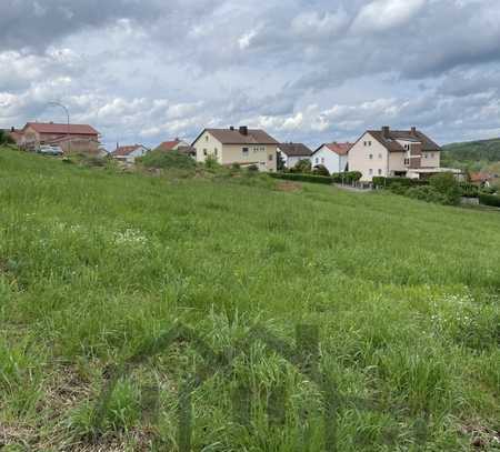 Idyllisches Baugrundstück für Haus mit Keller in bester Lage in Bamberg Memmelsdorf