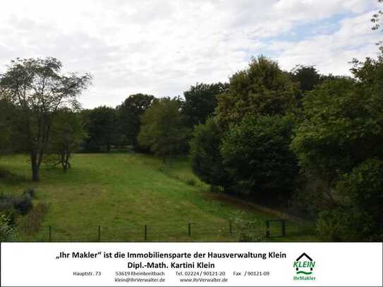 Großzügige 4 Zimmer-Wohnung mit Aussicht ins grüne Rheintal