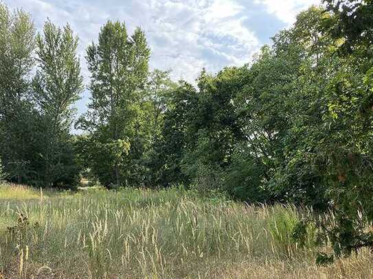 Hier bauen Sie Ihr Einfamilienhaus - wohnen am Waldrand