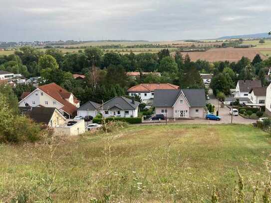 Baugrundstück in Weinsheim/Kreis Bad Kreuznach