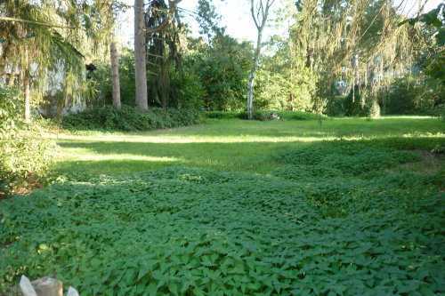 2024 BAUGRUNDSTÜCK in TOP LAGE, Rarität im „Stadtparkviertel“