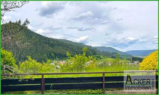 Ferienwohnung im Schwarzwald, Baiersbronn mit herrlichem Ausblick