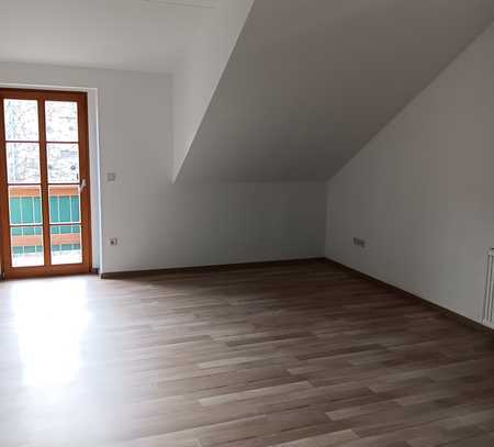 Helle barrierefreie 1-Raum-Wohnung mit großzügigem Balkon in Meißen