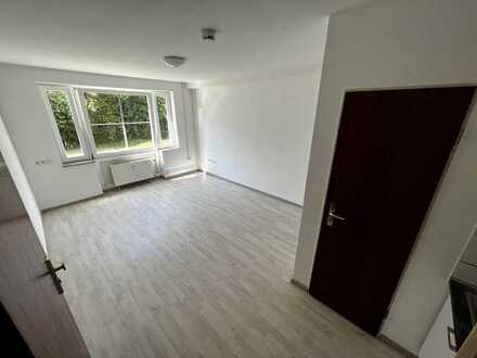 Renoviertes 1-Zimmer-Apartment mit Einbauküche - Zentrale Anbindung