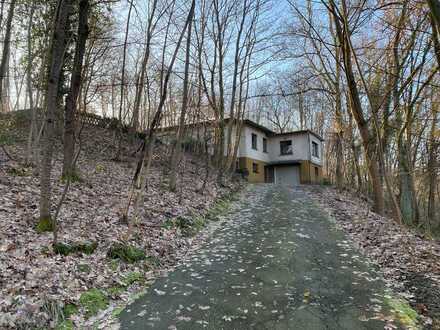 1,3 ha Anwesen mit ehemaliger Unternehmer-Villa und großer Waldfläche