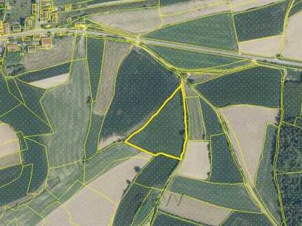 Landwirtschaftliches Grünland in Ortsrandlage von Denglarn