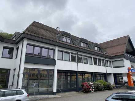 Sanierte Wohnung im Stadtkern sucht neuen Mieter!
