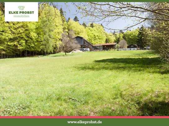 Tradition trifft Moderne - Hofstelle in Fast-Alleinlage - Bayerischer Wald