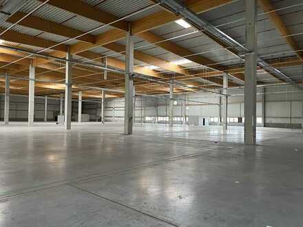 Ca. 3.900 qm Neubau Lager-/ Logisitk-/ Produktionsfläche | Rampe & ebenerdig | Ca. 7,50 m UKB