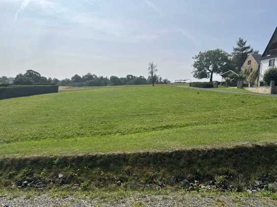 Schönes Baugrundstück mit 1000m² unweit von Pirna verkaufen