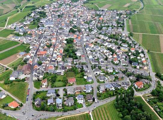 +++ Rheingau -- erfolgreich zum kleinen Preis +++