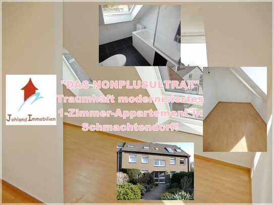 "DAS NONPLUSULTRA!!“ Traumhaft modernisiertes 1-Zimmer-Appartement in Schmachtendorf!