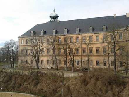 Erdgeschosswohnung - stadtnah und dennoch ruhig - Schloßblick inklusive