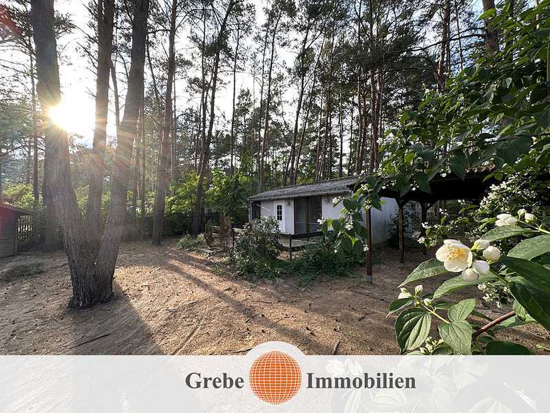                                                               Waldluft statt Gro&szlig;stadtl&auml;rm - Ihr R&uuml;ckzugsort im Gr&uuml;nen!                                                       in Neuhof (Fulda)
