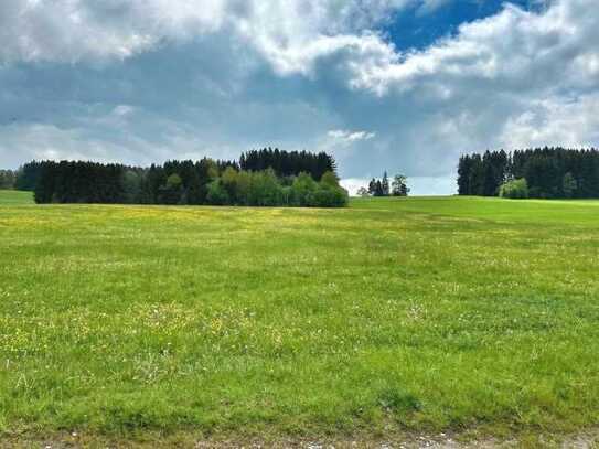 Grünland zwischen Ammersee und Lech