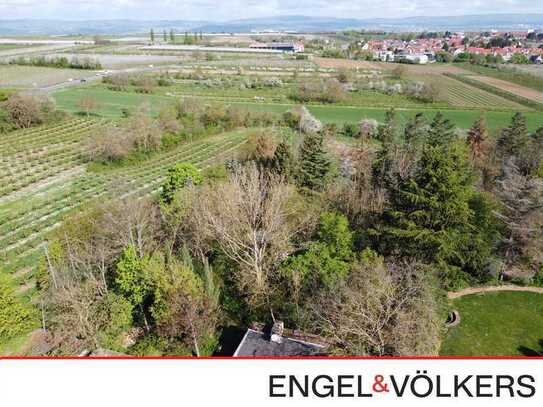 Exklusives Baugrundstück mit fantastischem Blick zum Taunus in Mainz Lerchenberg