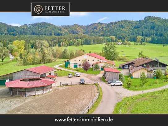 Reitanlage im Allgäu in malerischer Natur- Leben zwischen Bergen und Wäldern!