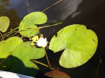 Lage, Anbindung, Natur, Sonne und das gepaart mit Ruhe.