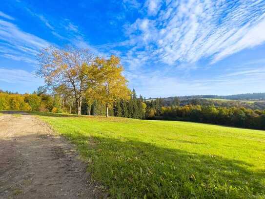 ***die ganze Etage nur für Sie allein - zentrumsnah und trotzdem idyllisch ***