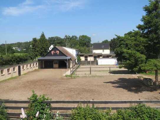 Machen SIE Ihr Hobby zum Beruf?- Pferde- Pension (9 Boxen) mit Reitplatz und Koppel